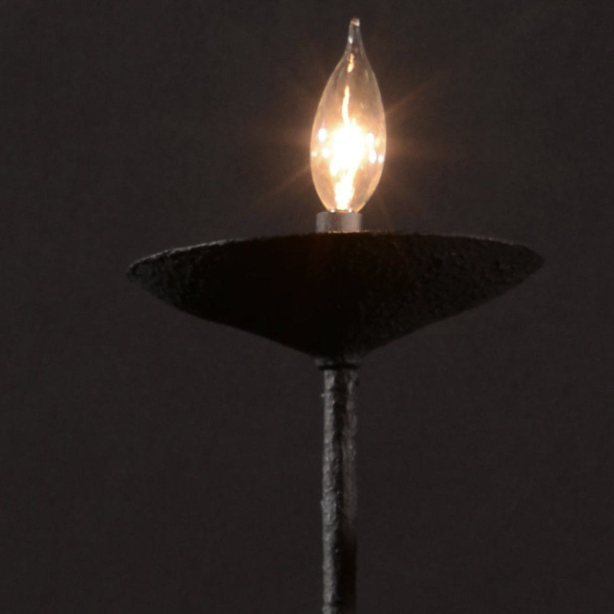12 - Light Chandelier