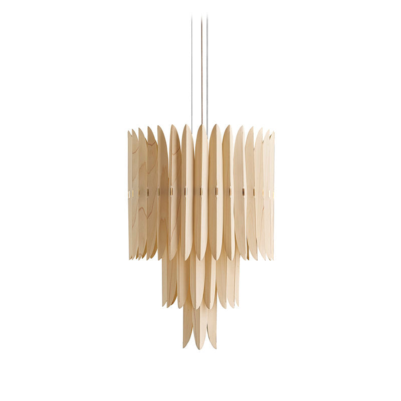 16 - Light Chandelier