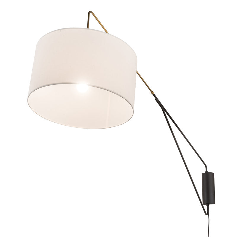 1 - Light Swing Arm