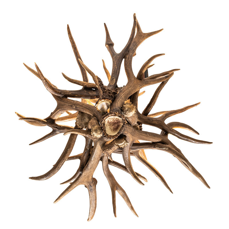 24" Wide Antlers Elk &amp; Mule Deer 4 Light Chandelier