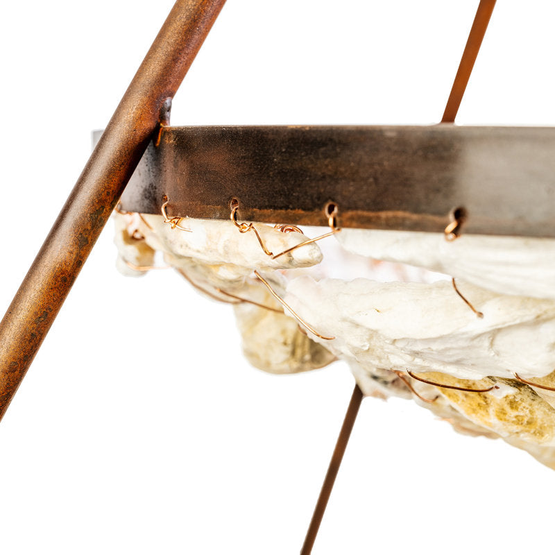 2 Tier Shell Bowl Chandelier