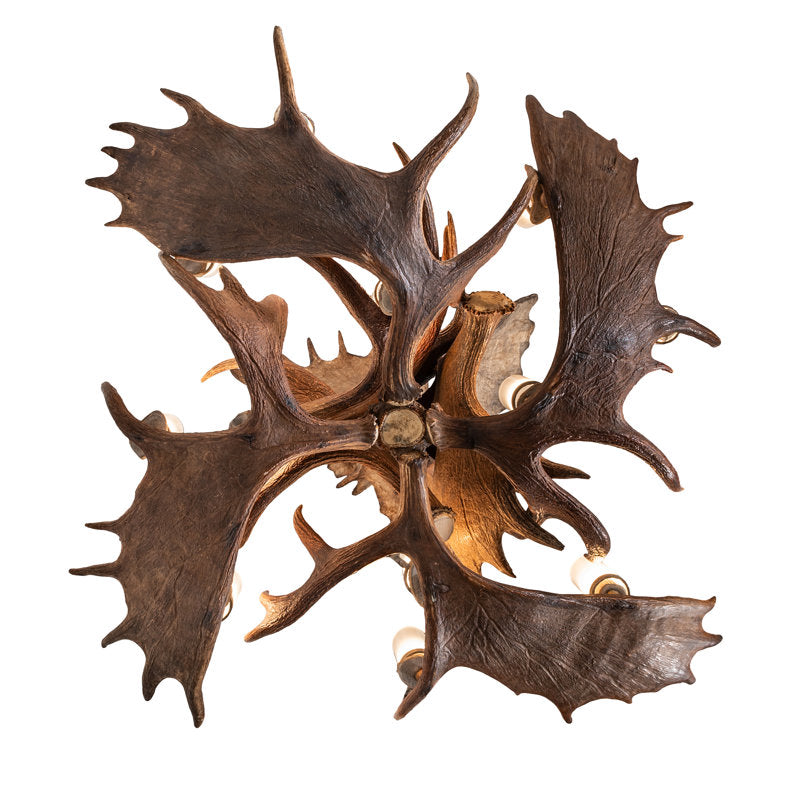 64" Wide Antlers Moose 12 Light Chandelier