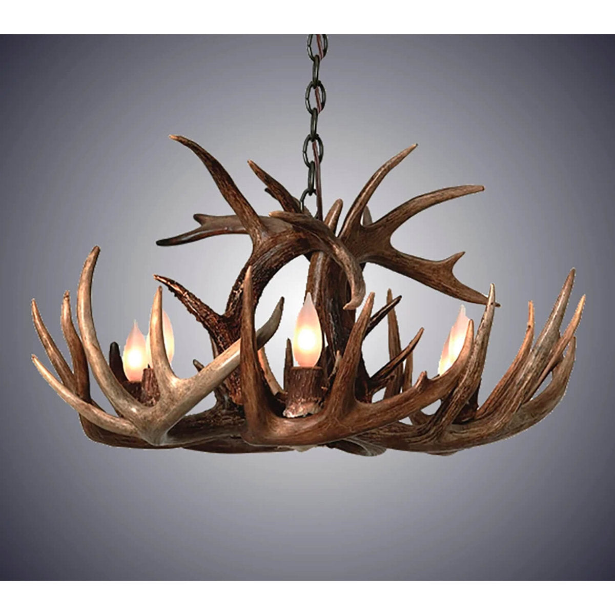 8 - Light Chandelier