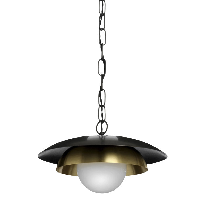 Carapace 1 - Light Pendant
