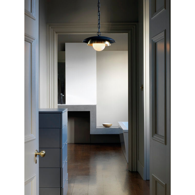 Carapace 1 - Light Pendant