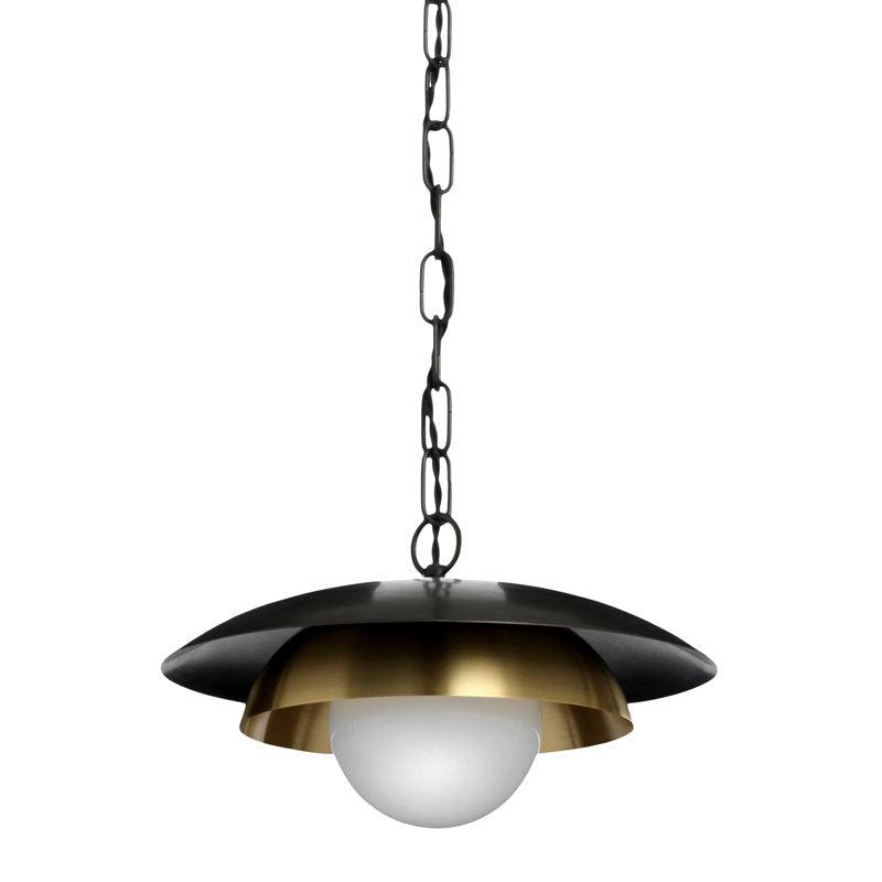 Carapace 1 - Light Pendant