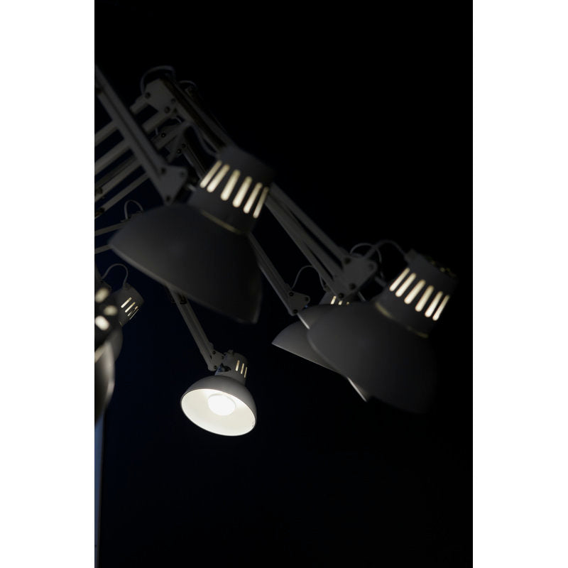 Dear Ingo 16 - Light Chandelier