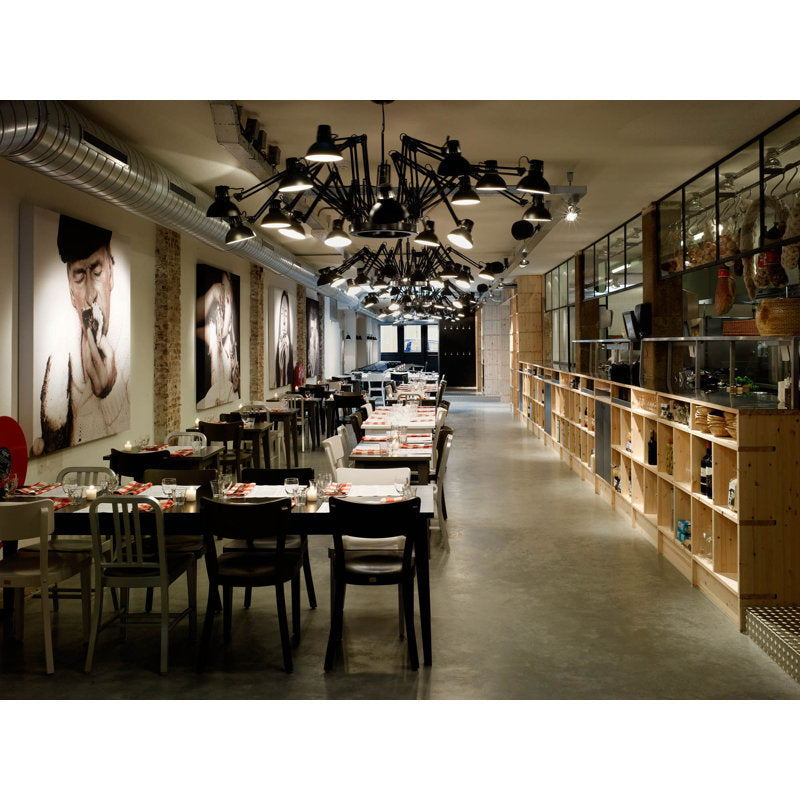 Dear Ingo 16 - Light Chandelier