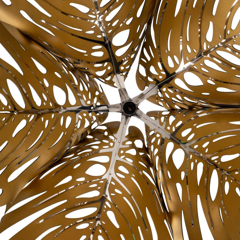 Delicious Light