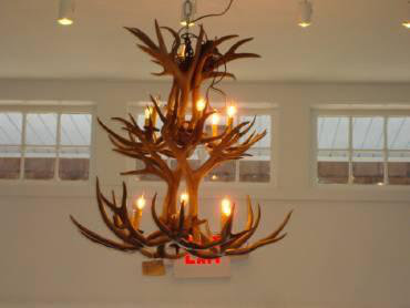 Isaac 12 - Light Chandelier