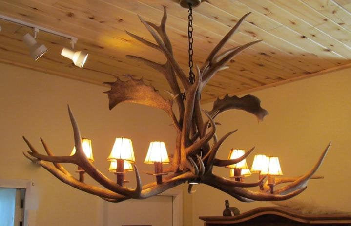 Jaramillo 8 - Light Chandelier