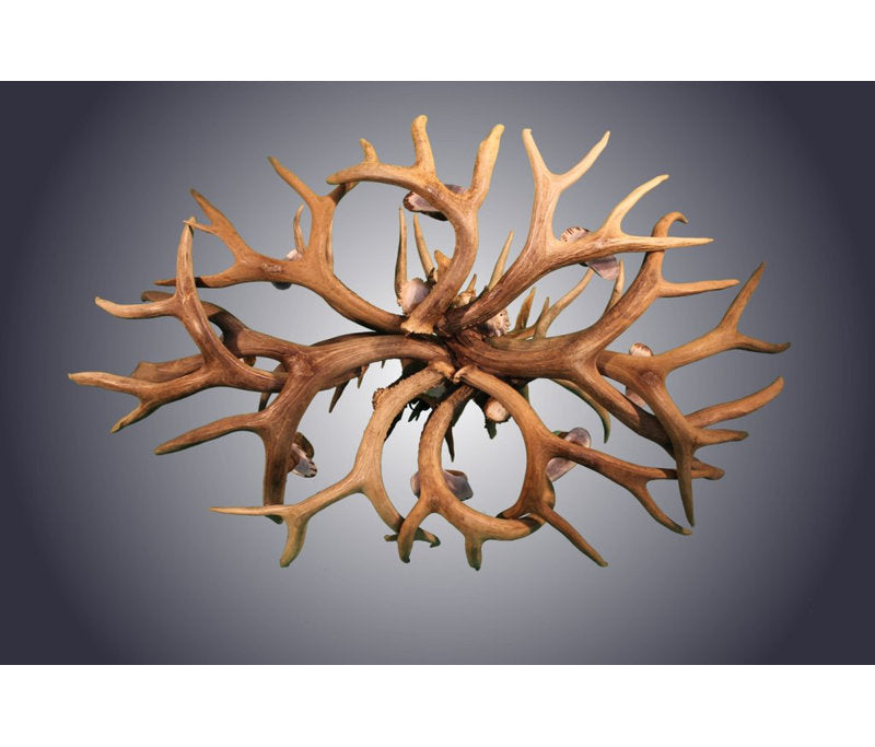 Kelly 8 - Light Chandelier