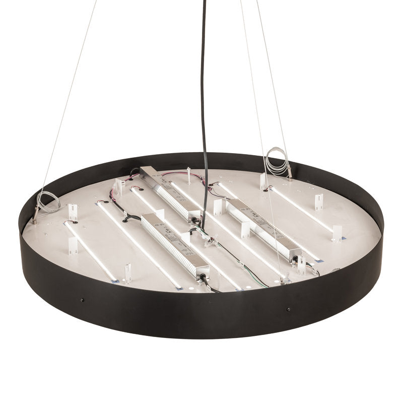 LED Pendant