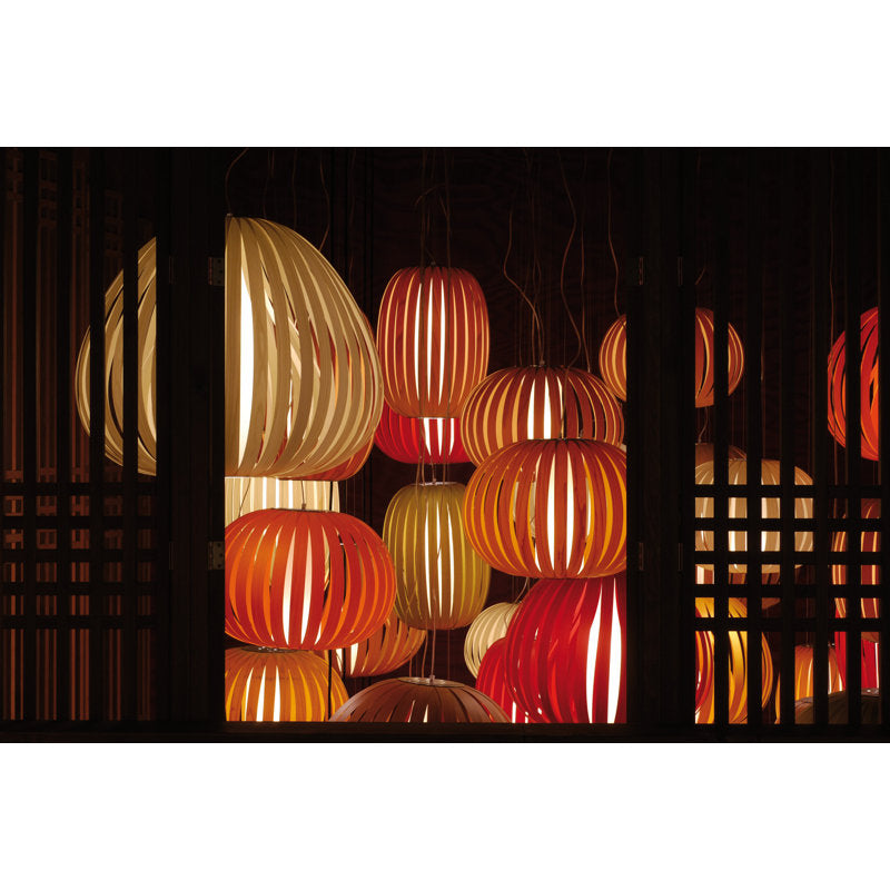 Poppy 1 - Light Pendant