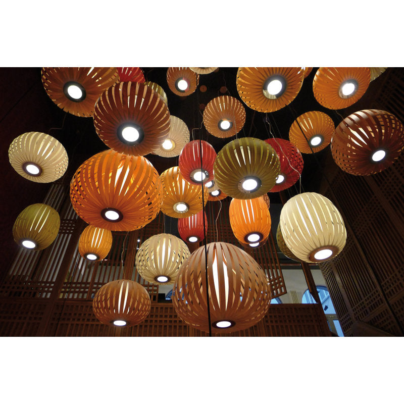 Poppy 1 - Light Pendant