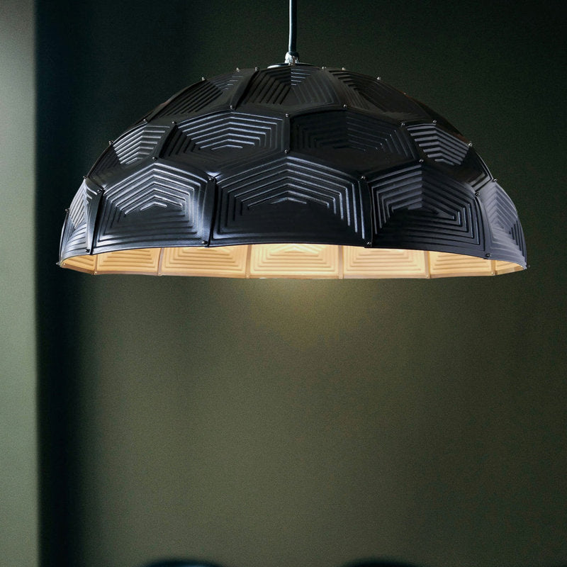 Turtle Dome Light