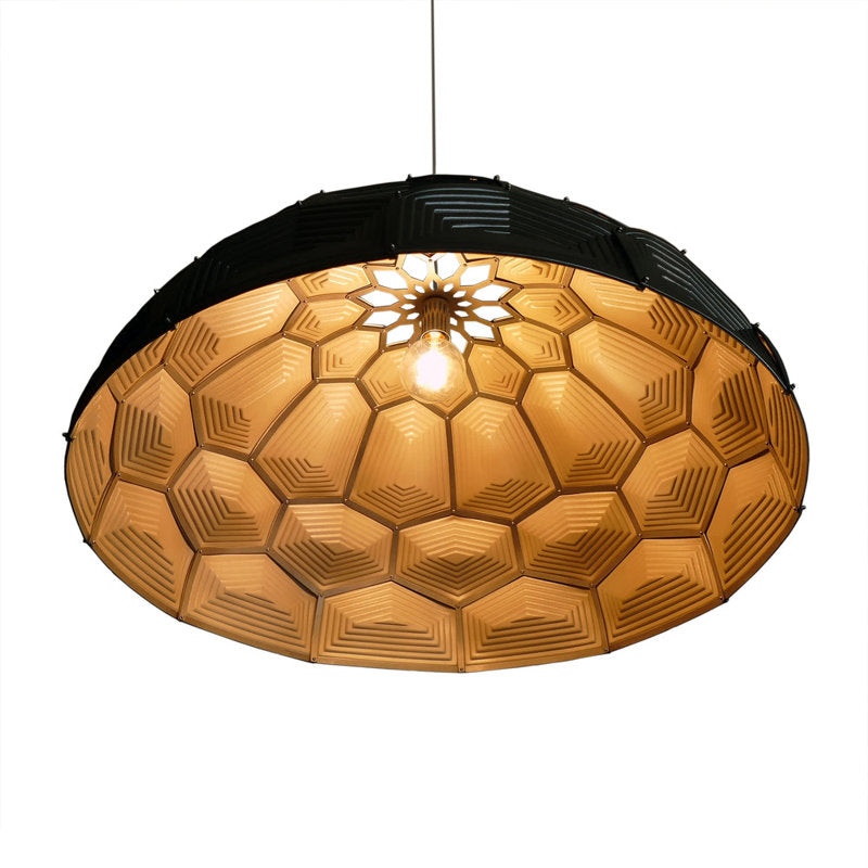 Turtle Dome Light