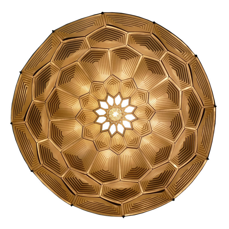 Turtle Dome Light