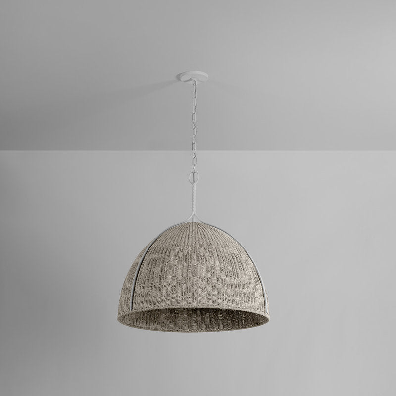 Woodlawn Pendant in White Plaster
